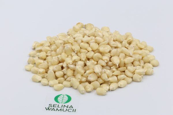 Ethiopia Maize