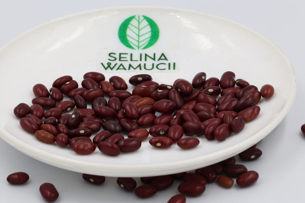 Tanzania Kidney Beans