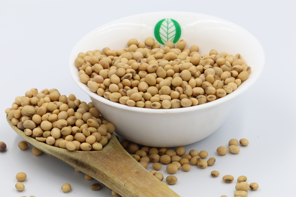Uganda Soybeans