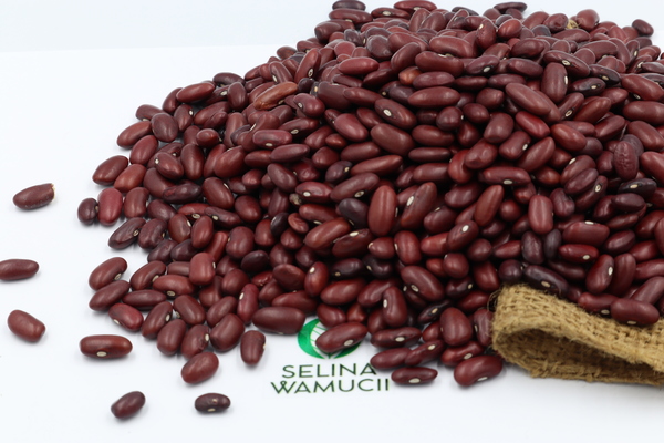 Mozambique Kidney Beans