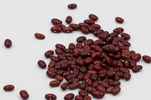 Morocco Red Kidney Beans